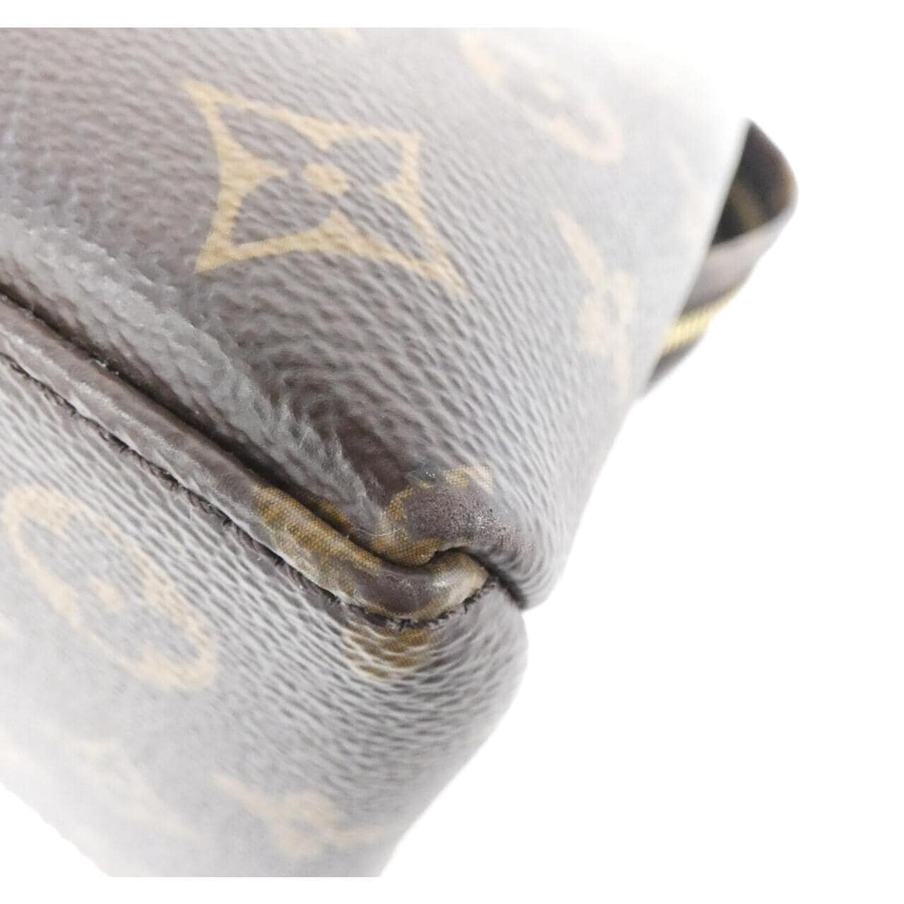 LOUIS VUITTON Monogram Petit Palais PM M45900 Bag