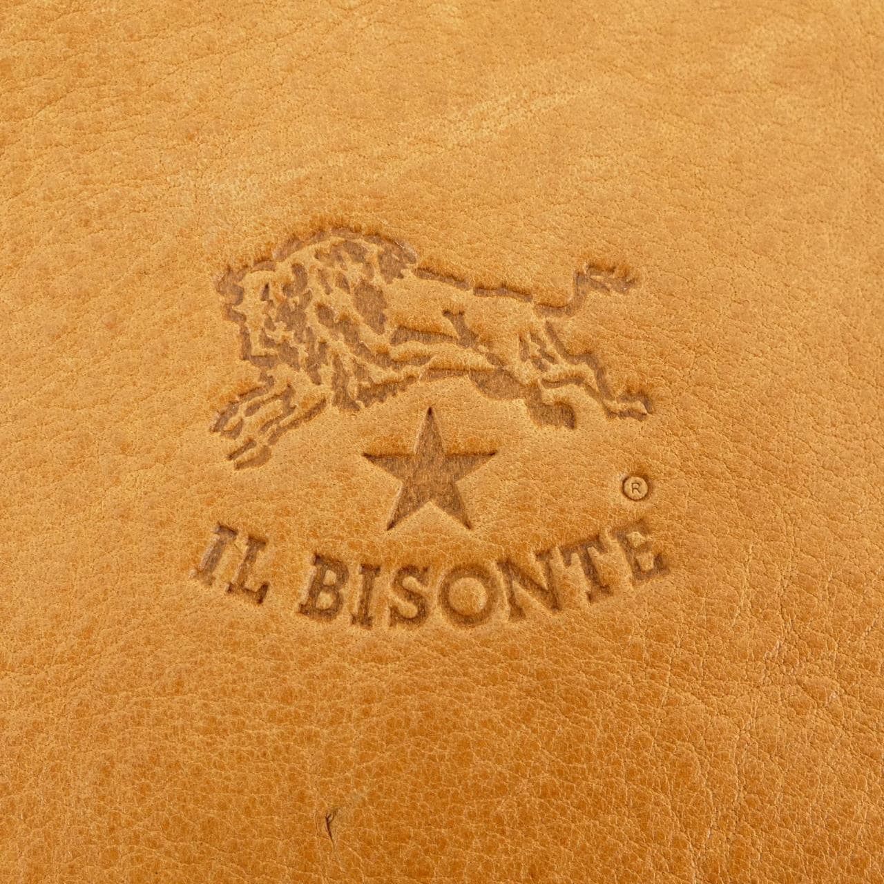 IL IL BISONTE BAG