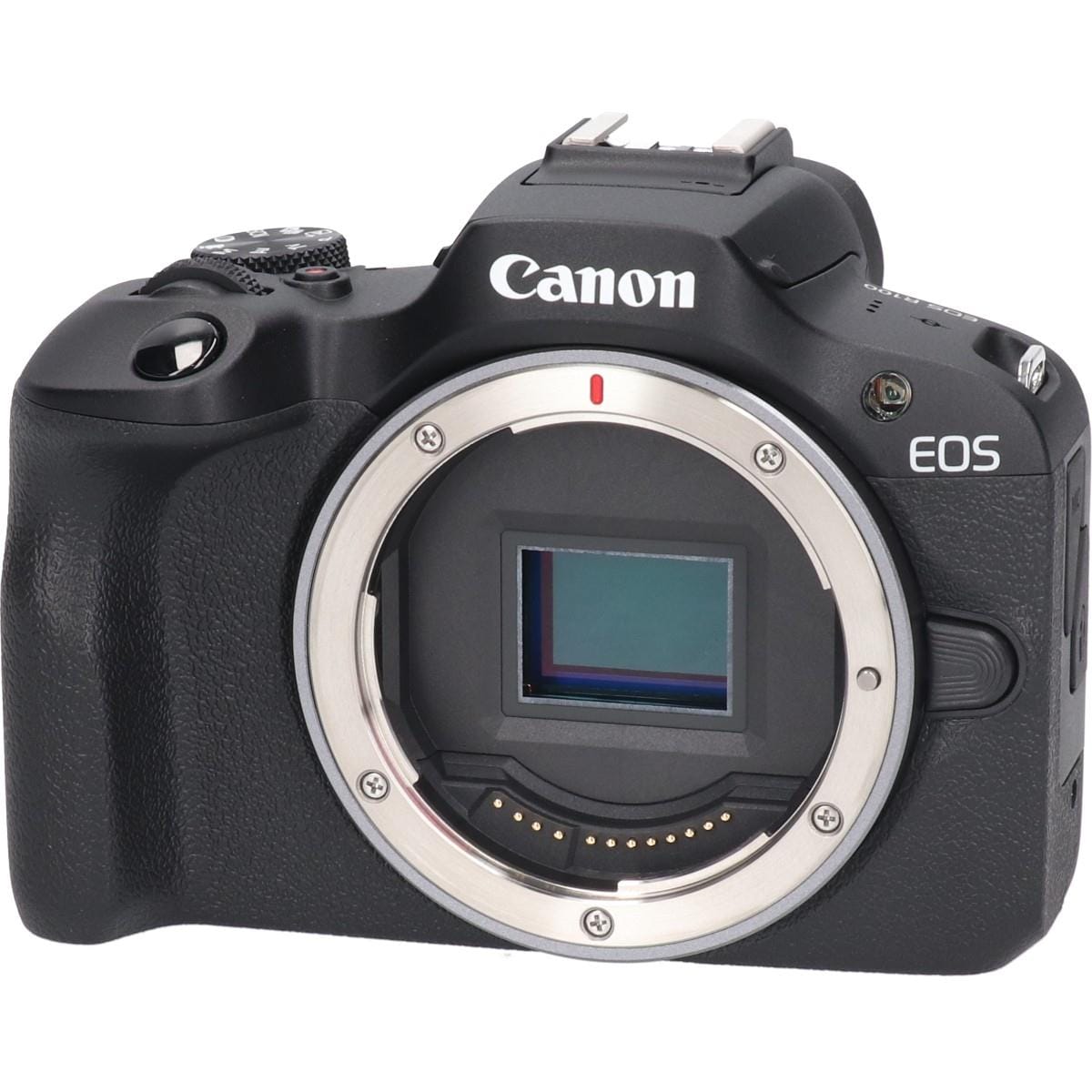 ＥＯＳ　Ｒ１００　ＲＦ１８－４５ＩＳ　ＳＴＭキット