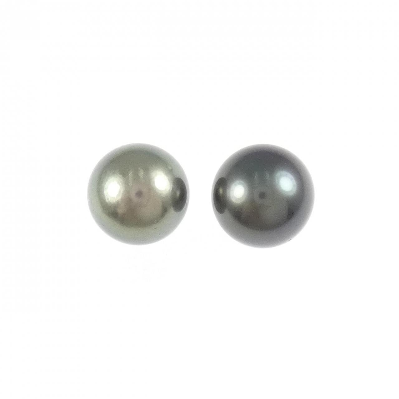 K14WG 黒蝶パール ピアス 11.5mm