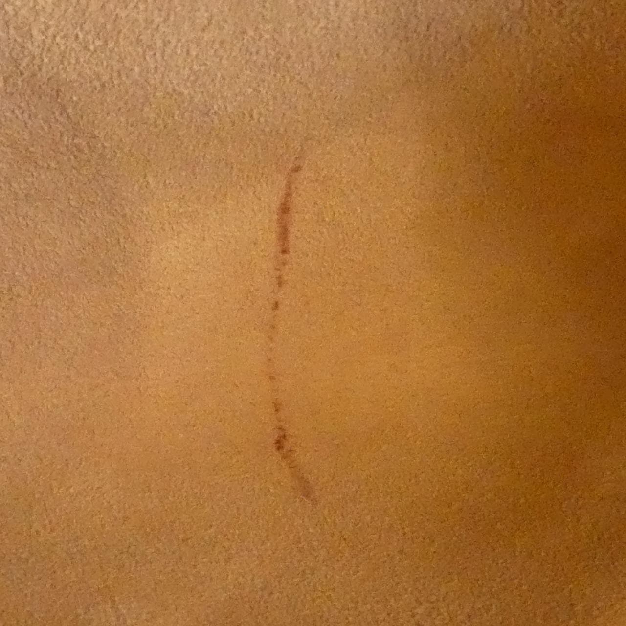 グッチ 505344 CWGKT バッグ