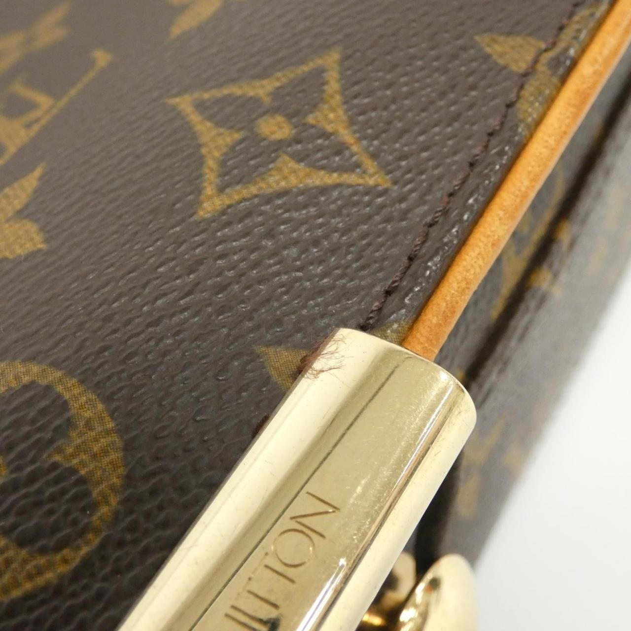 LOUIS VUITTON Monogram Aves M45257 单肩包