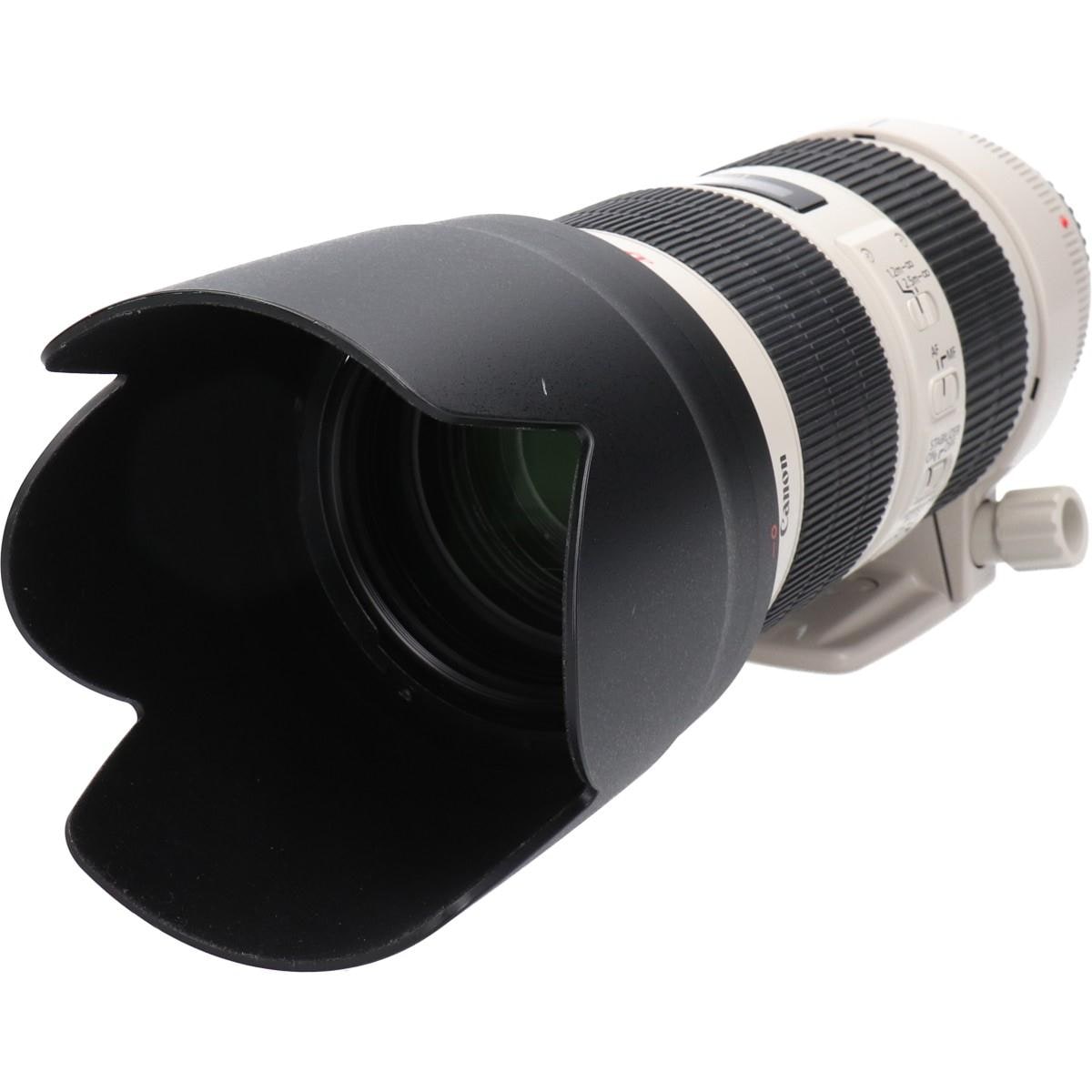 ＥＦ７０－２００ｍｍ　Ｆ２．８Ｌ　ＩＳＩＩ　ＵＳＭ
