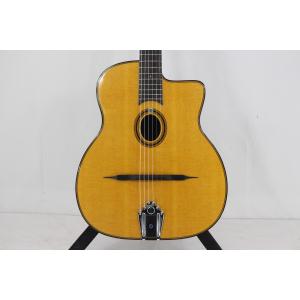 ＧＩＴＡＮＥ　ＤＧ－３１０