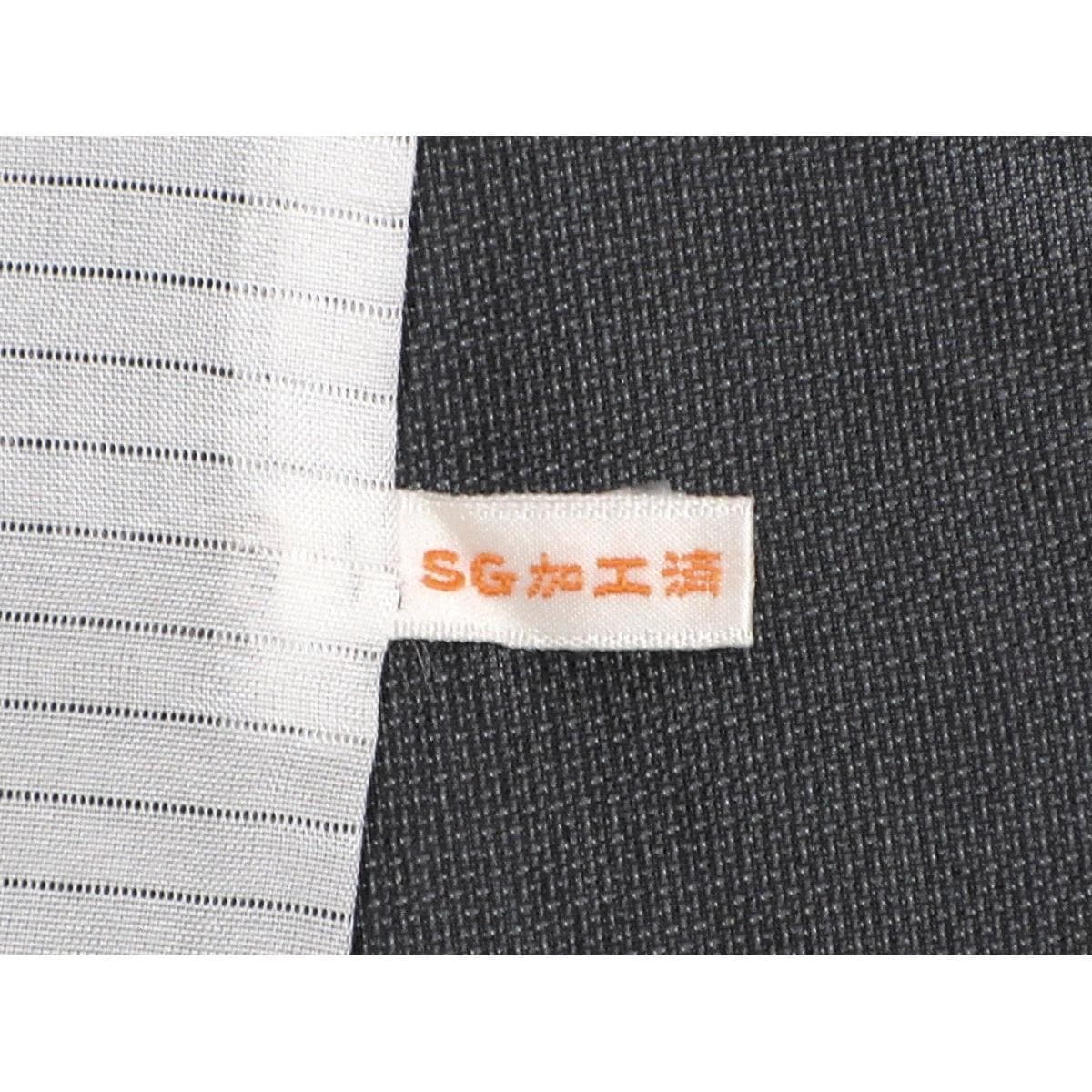 単衣　訪問着　紗紬　身幅Ｌ寸