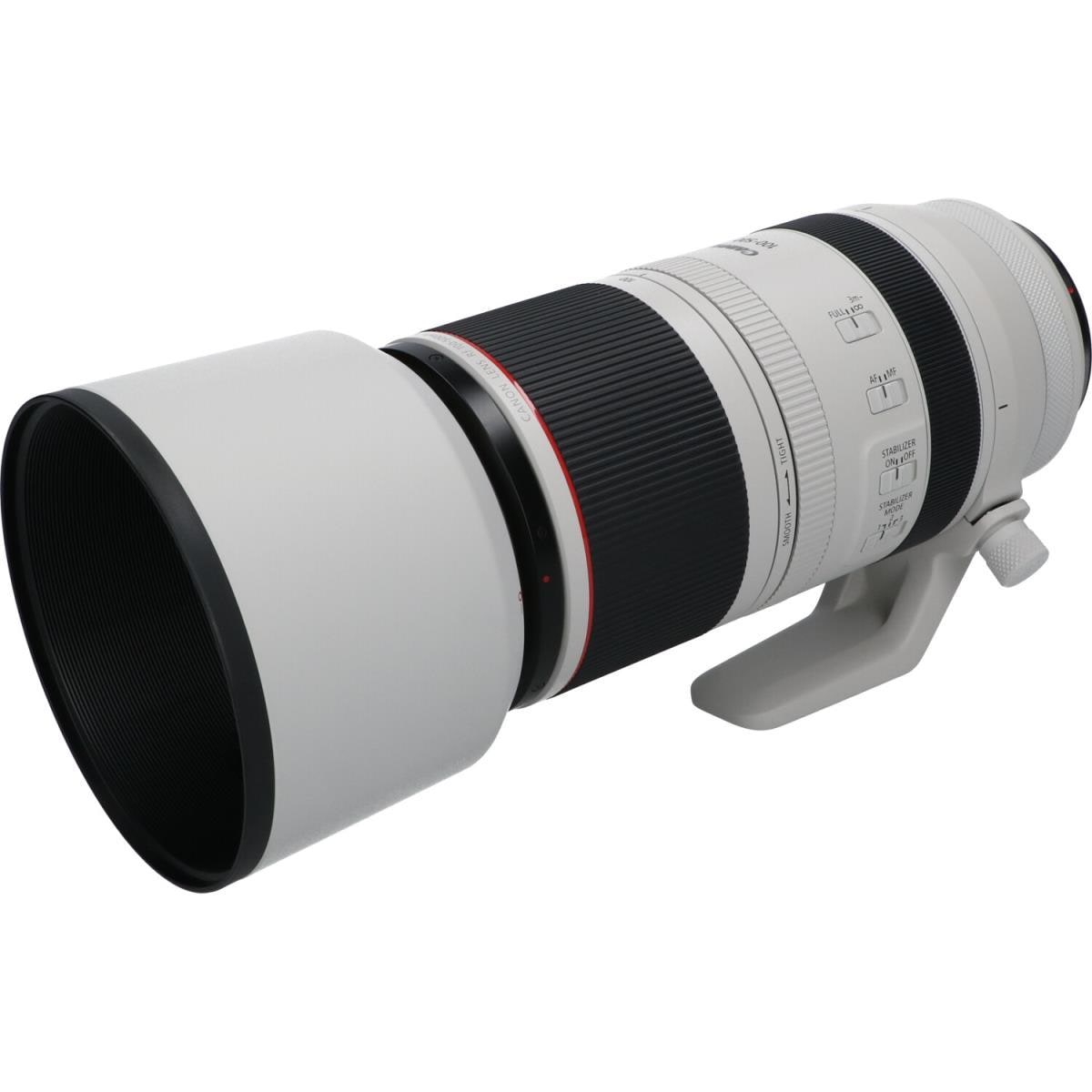 CANON RF100-500mm F4.5-7.1L IS USM