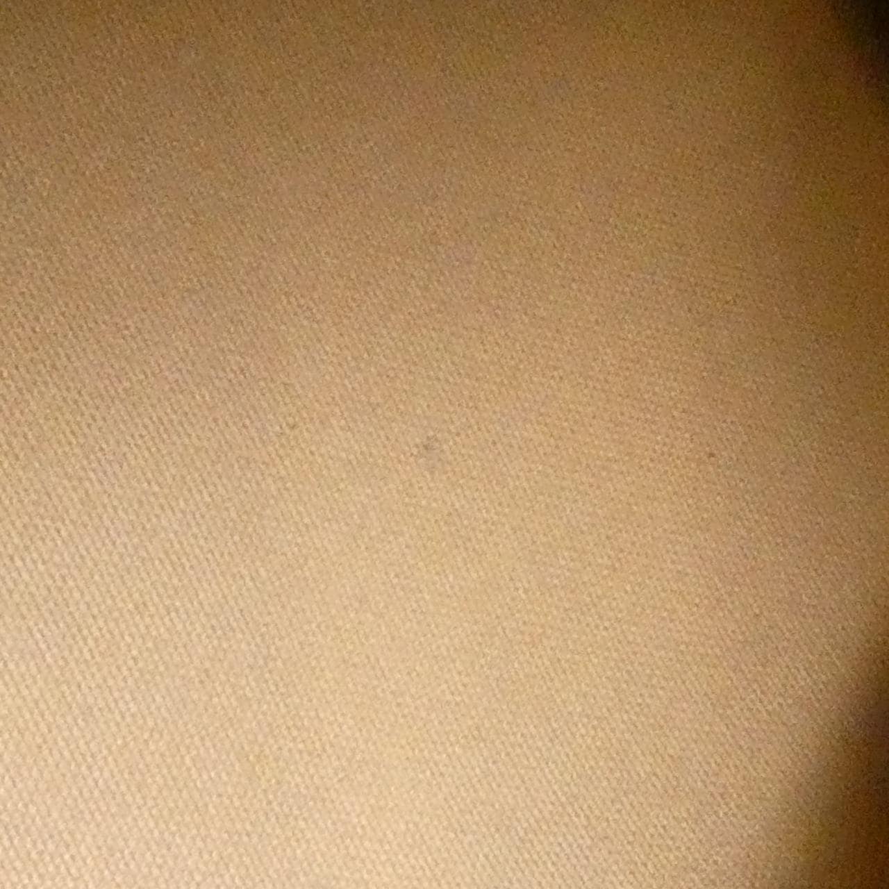 ルイヴィトン モノグラム ネヴァーフル PM M40155 バッグ