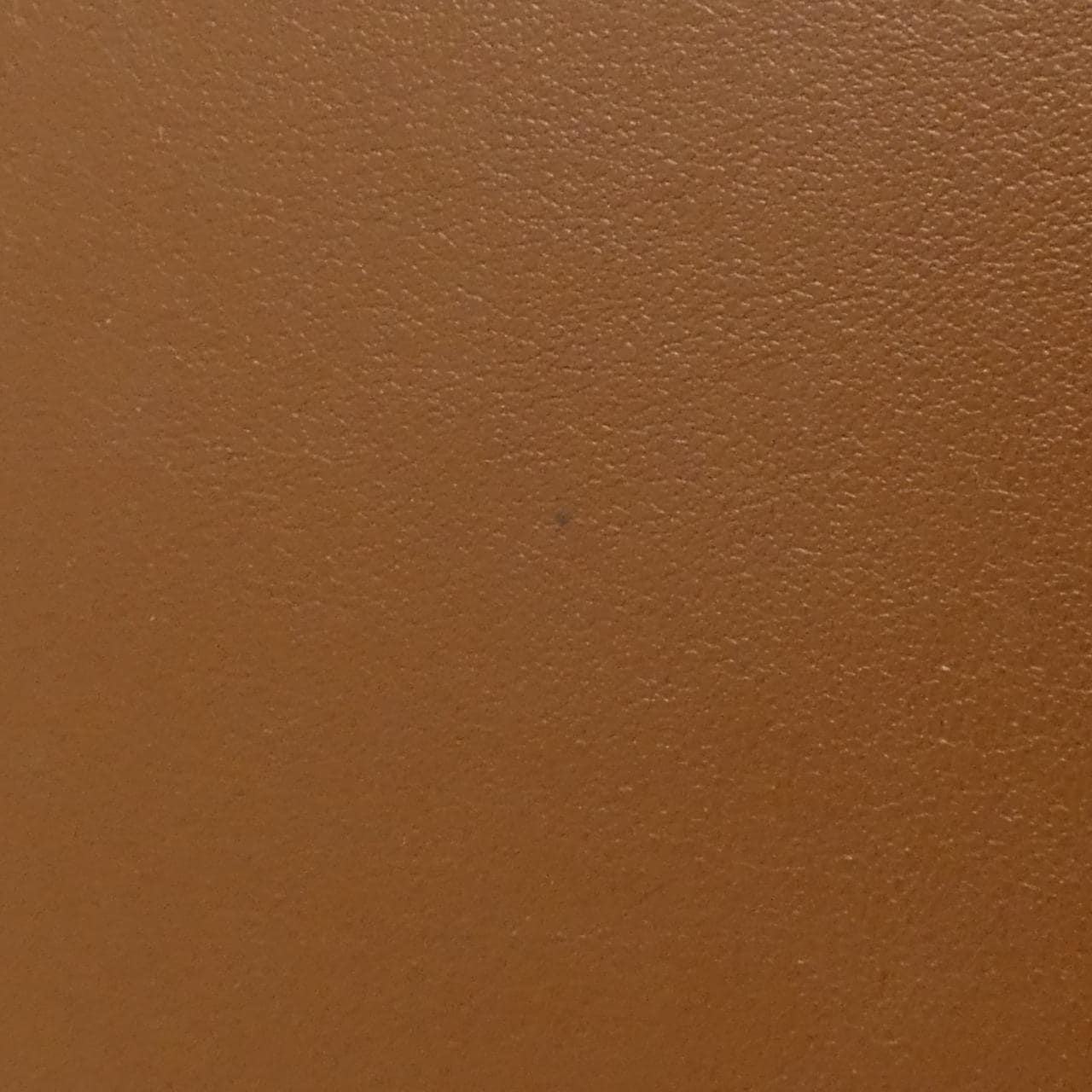 セリーヌ スモール ルイーズ バッグ 119173FX9 バッグ