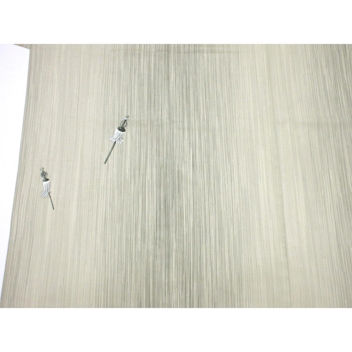 単衣　訪問着　本塩沢　山田織　友禅加工