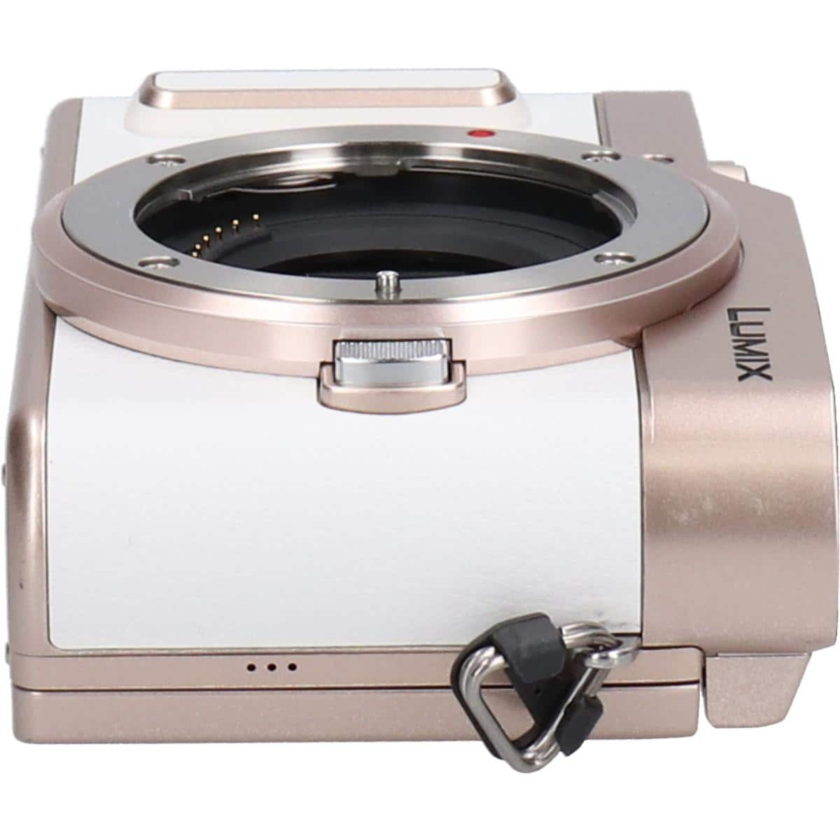 ＤＣ－ＧＦ１０