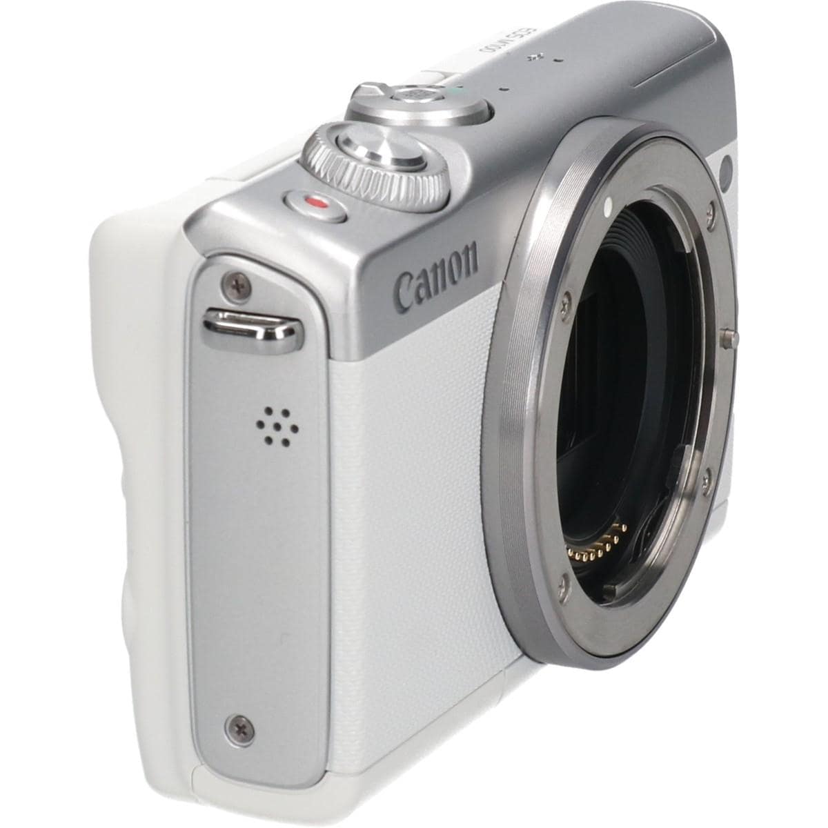 EOS M100