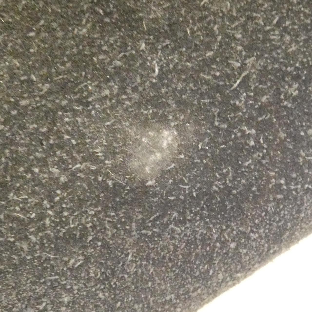 vintage Loewe Amazona 28cm 手袋 311 79 001