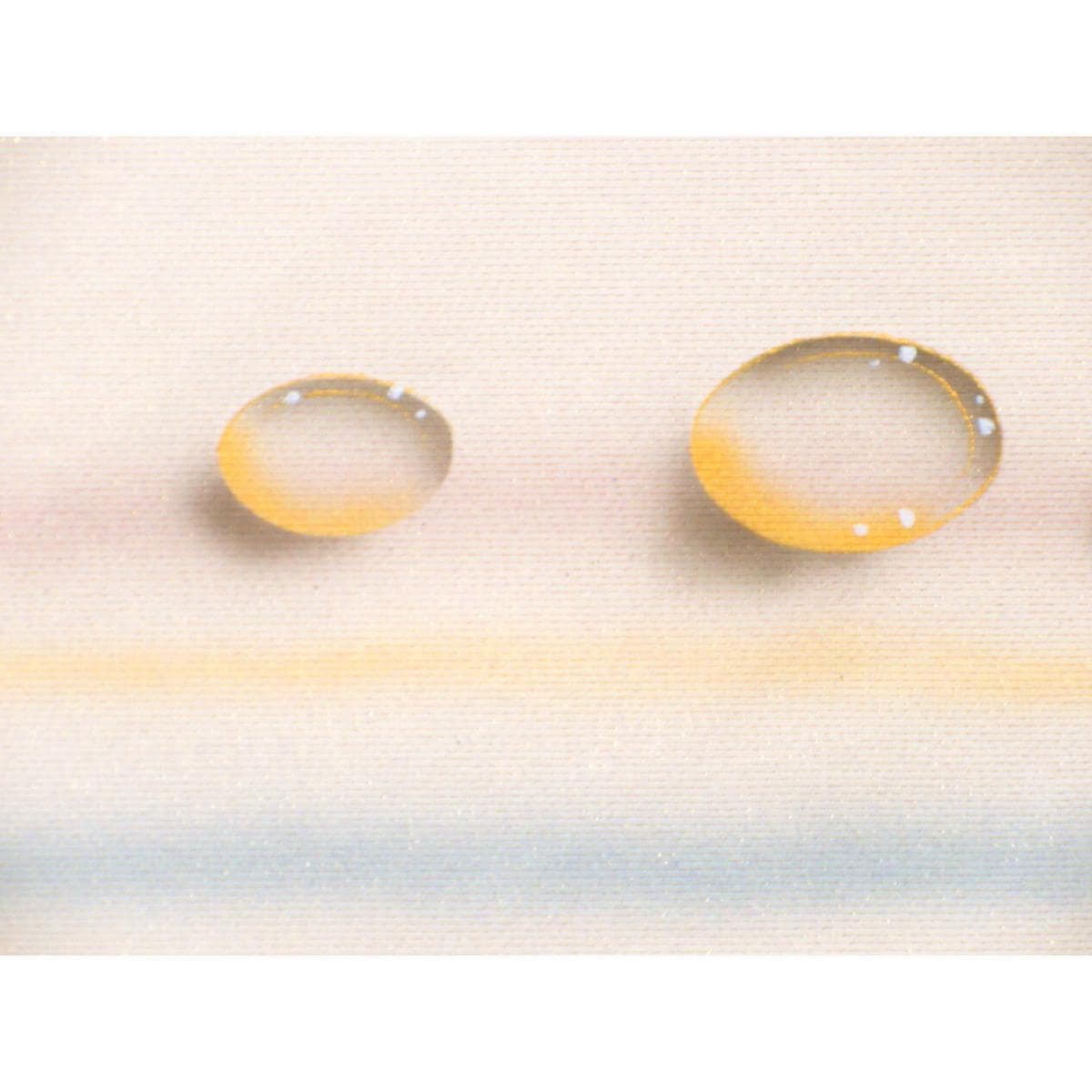 【未使用品】名古屋帯　染帯　友禅加工