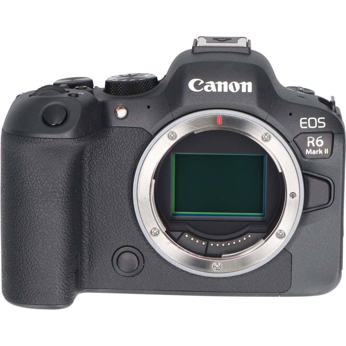 ＥＯＳ　Ｒ６　ＭＡＲＫ　ＩＩ