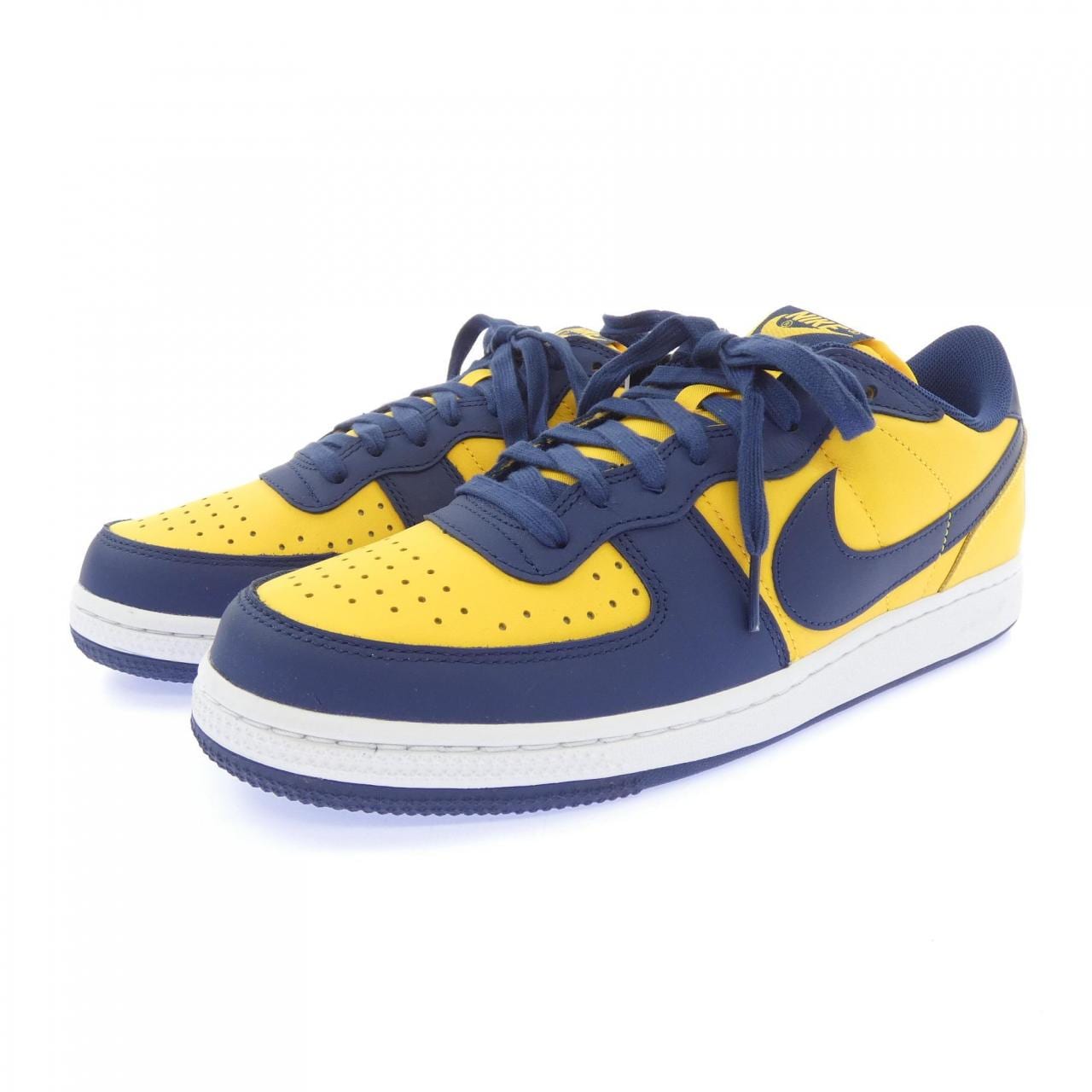 ナイキ NIKE FJ4206-700 スニーカー