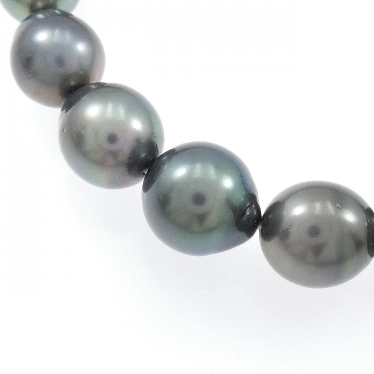 タサキ 黒蝶パール ネックレス