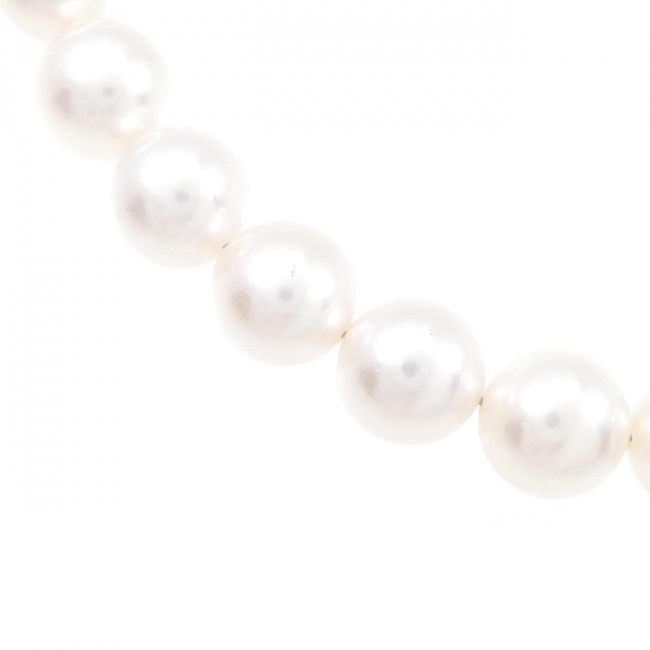 [BRAND NEW] Silver Clasp Akoya Pearl Necklace 7.5-8mm