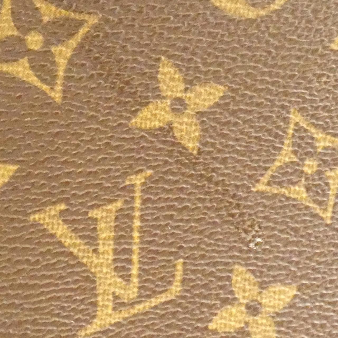 LOUIS VUITTON Monogram Luco M51155 Bag