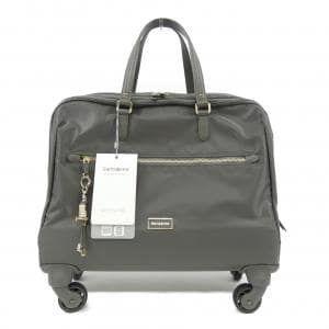サムソナイト samsonite CARRY BAG