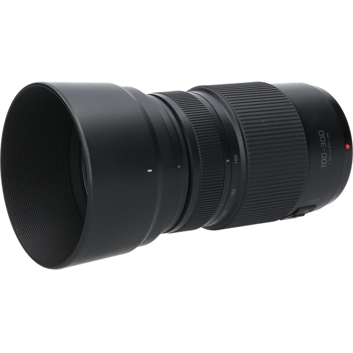 ＰＡＮＡＳＯＮＩＣ　Ｇ１００－３００ｍｍ　Ｆ４－５．６ＩＩＰＯＷＥＲ　ＯＩＳ