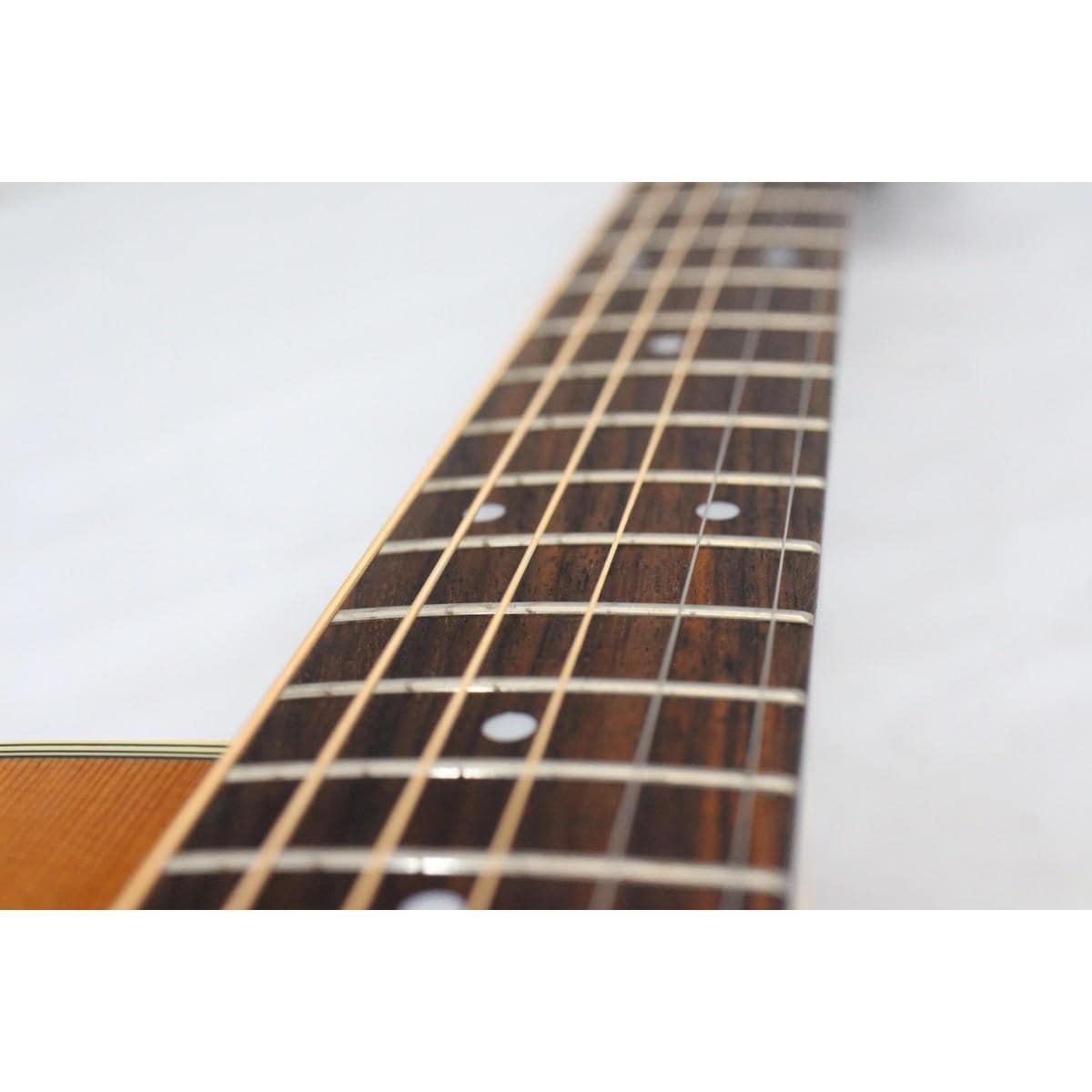 ＴＡＫＡＭＩＮＥ　　ＰＴＵ７３１ＫＣ