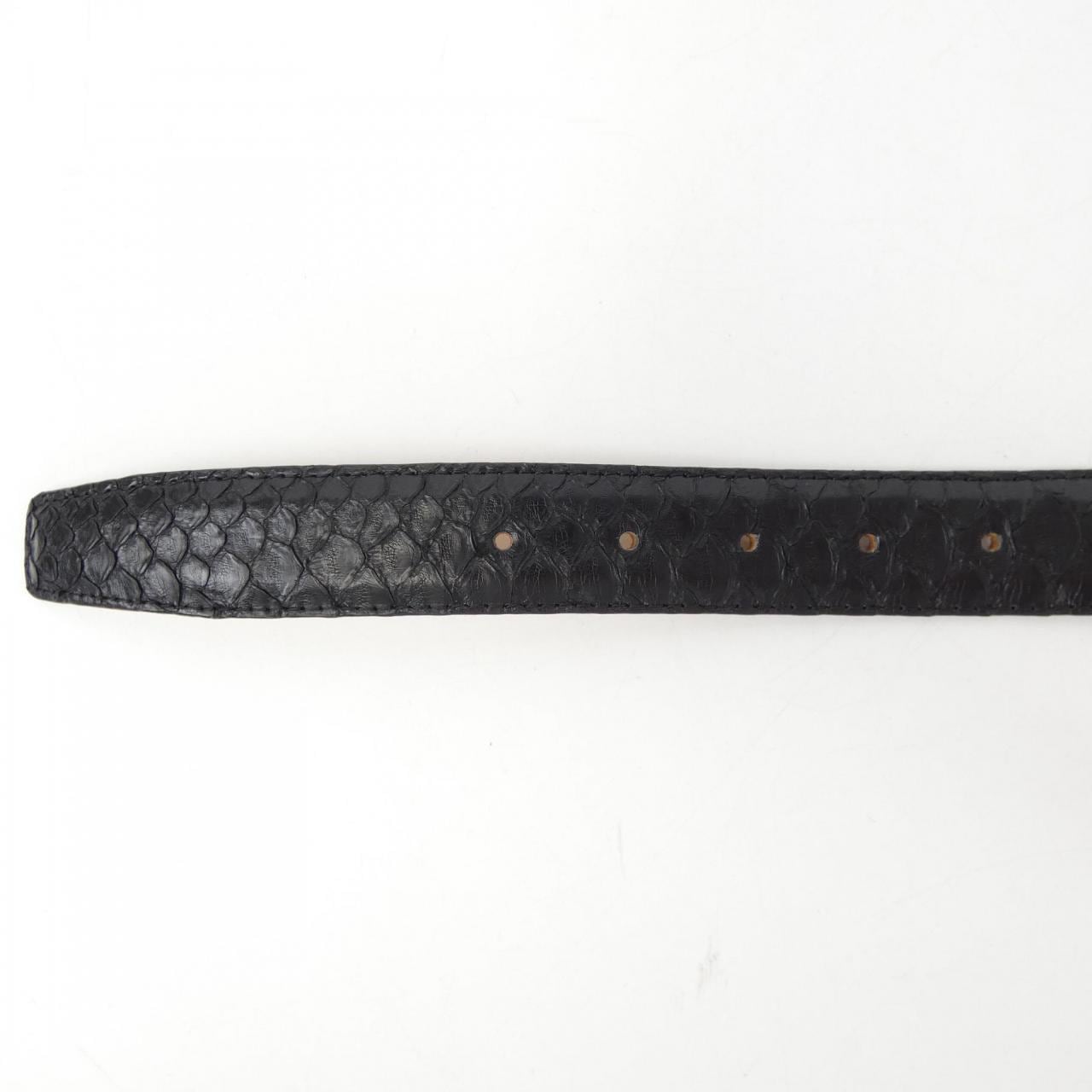 Reptiles House BELT