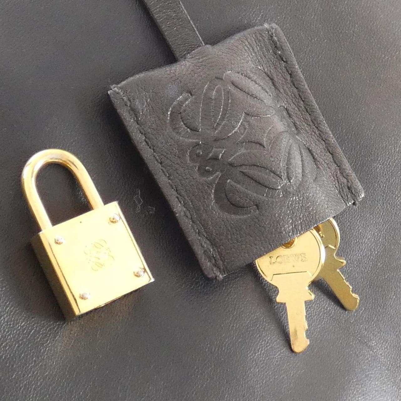 Loewe Amazona Bag