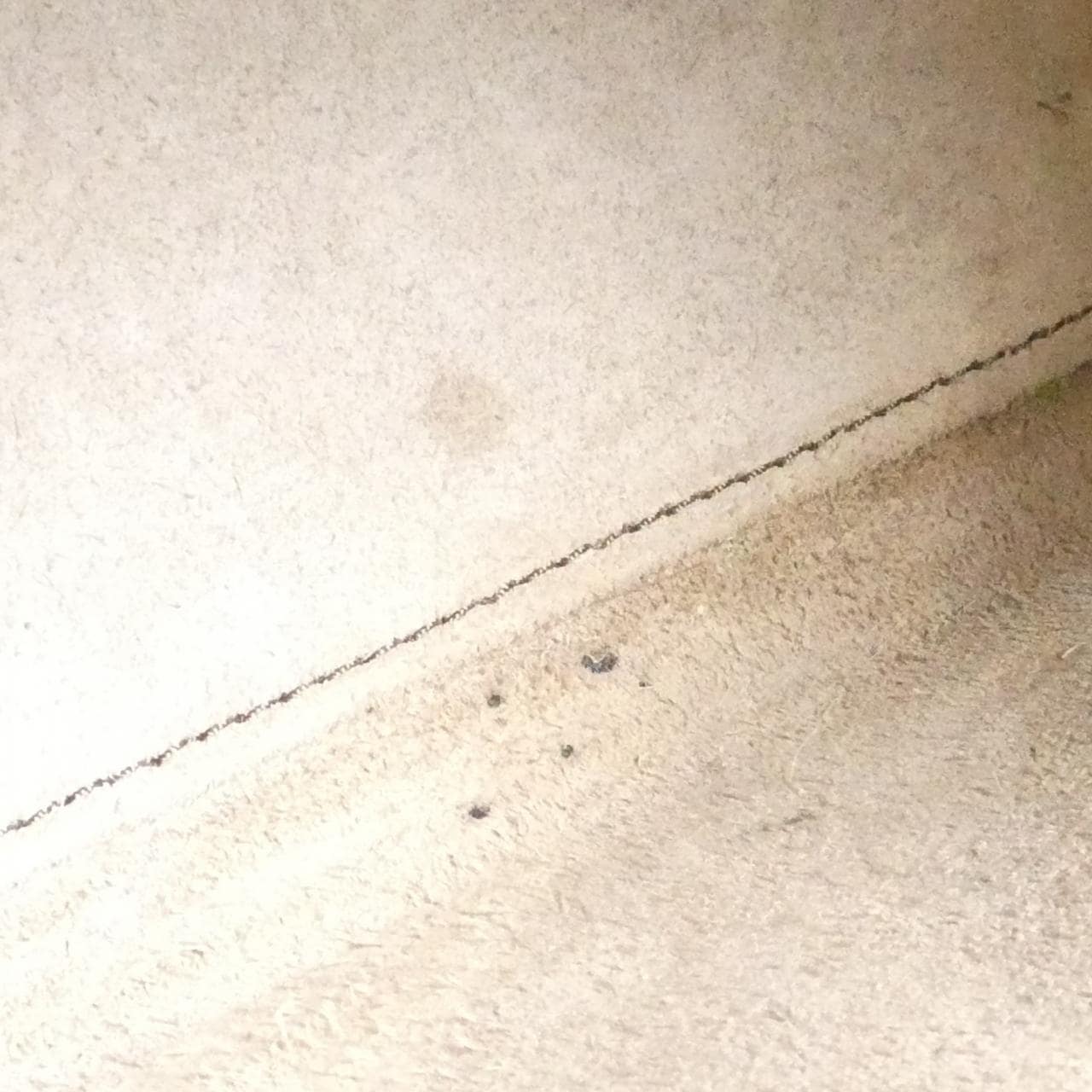 セリーヌ ラゲージ ナノ ショッパー 189243DRU バッグ