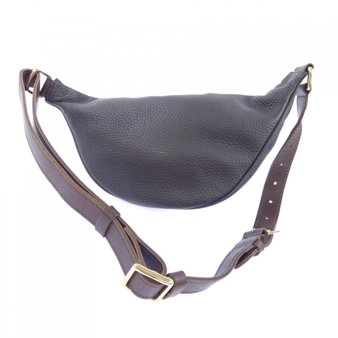 シータパランティカ sita parantica BAG