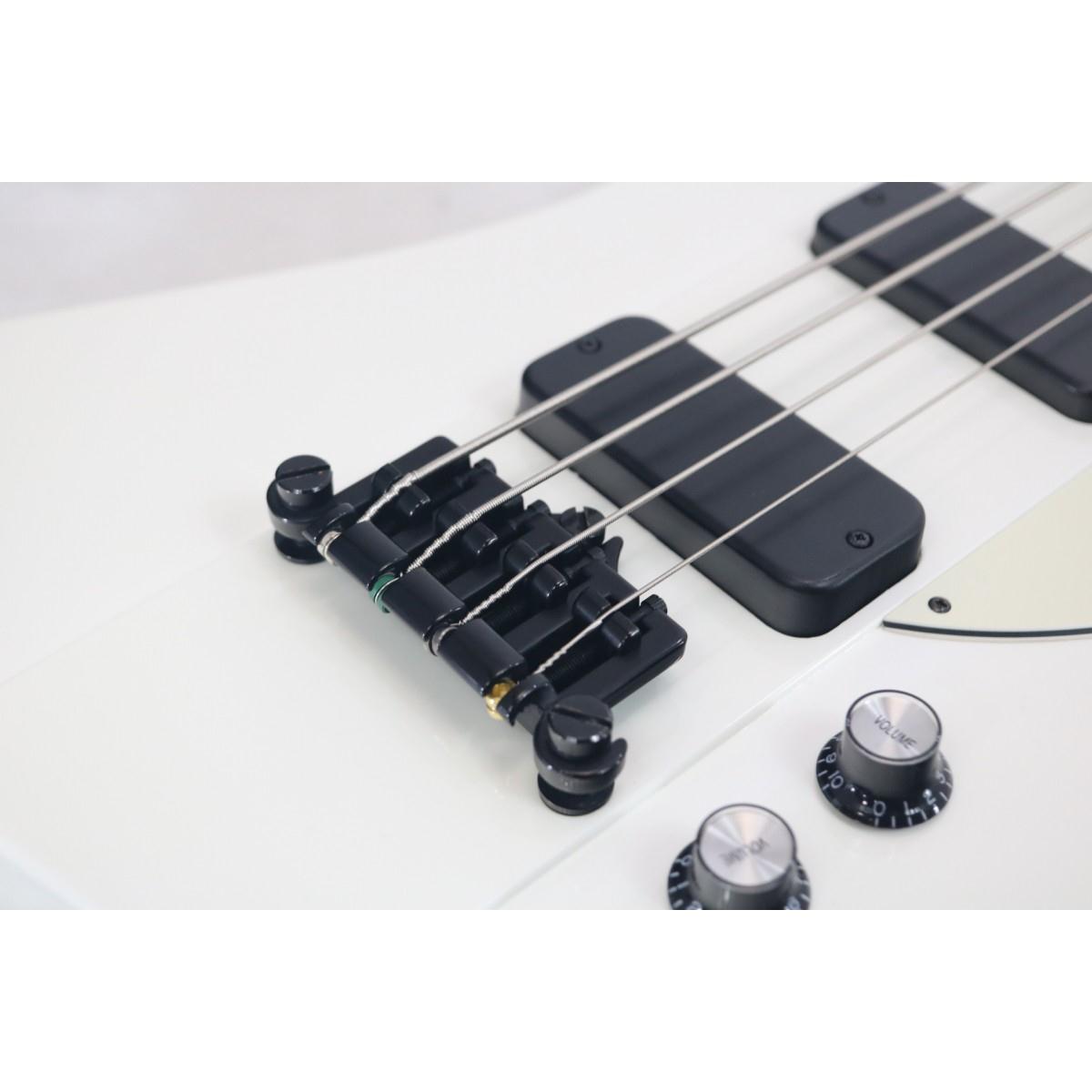 ＥＰＩＰＨＯＮＥ　　ＴＨＵＮＤＥＲＢＩＲＤ　ＣＬＡＳＳＩＣ
