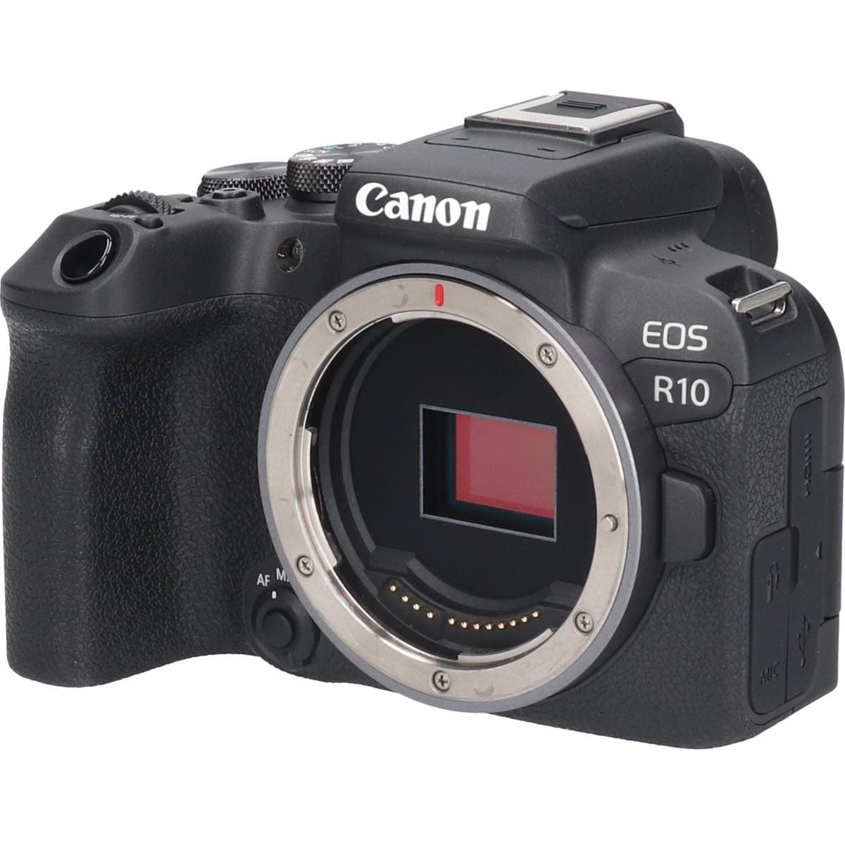 ＥＯＳ　Ｒ１０