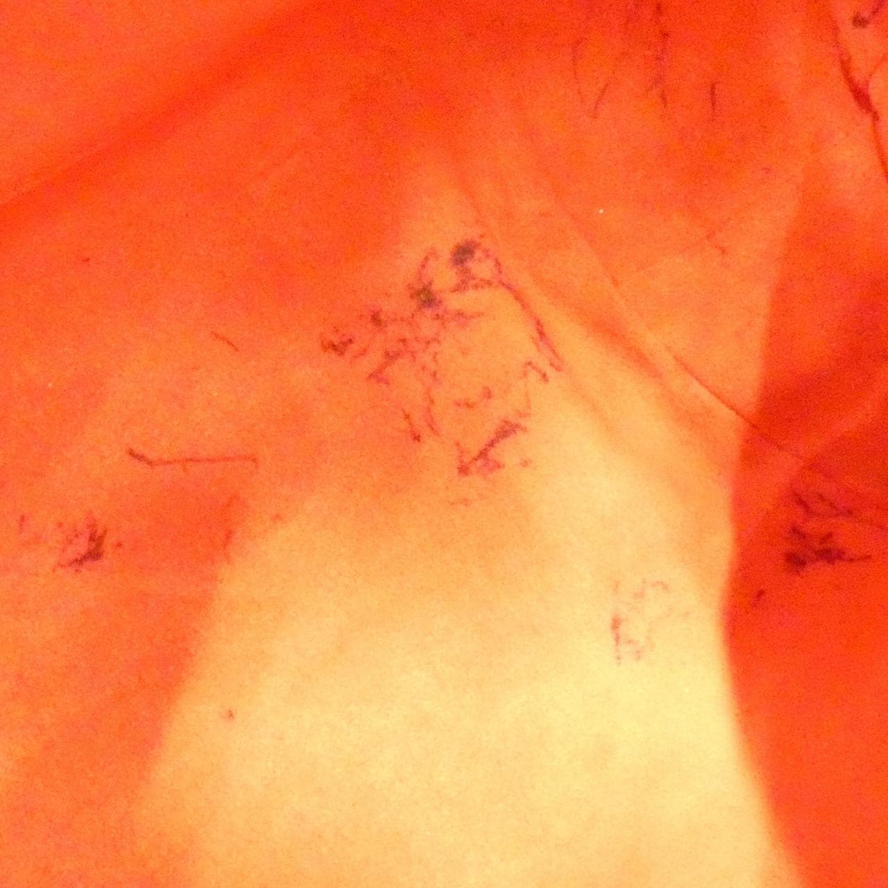 ルイヴィトン ダミエ システィナ MM N41541 ショルダーバッグ