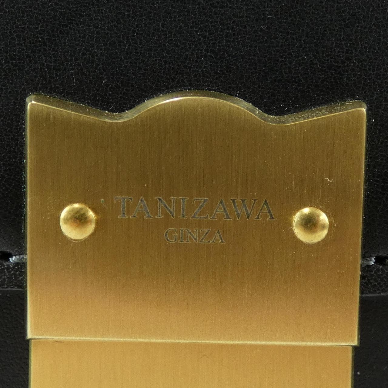 TANIZAWA GINZA BAG