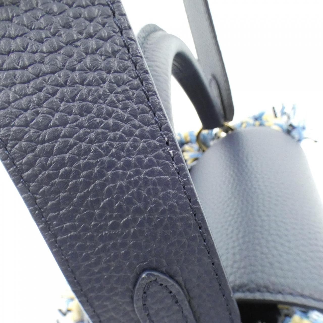 LOUIS VUITTON Capucines MM M22220 Bag