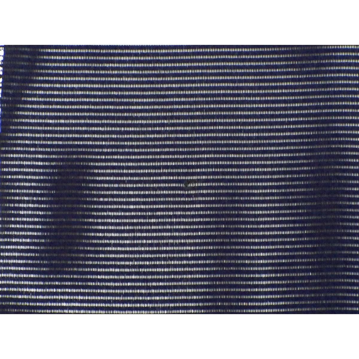 【未使用品】単衣　駒絽訪問着　銀彩加工