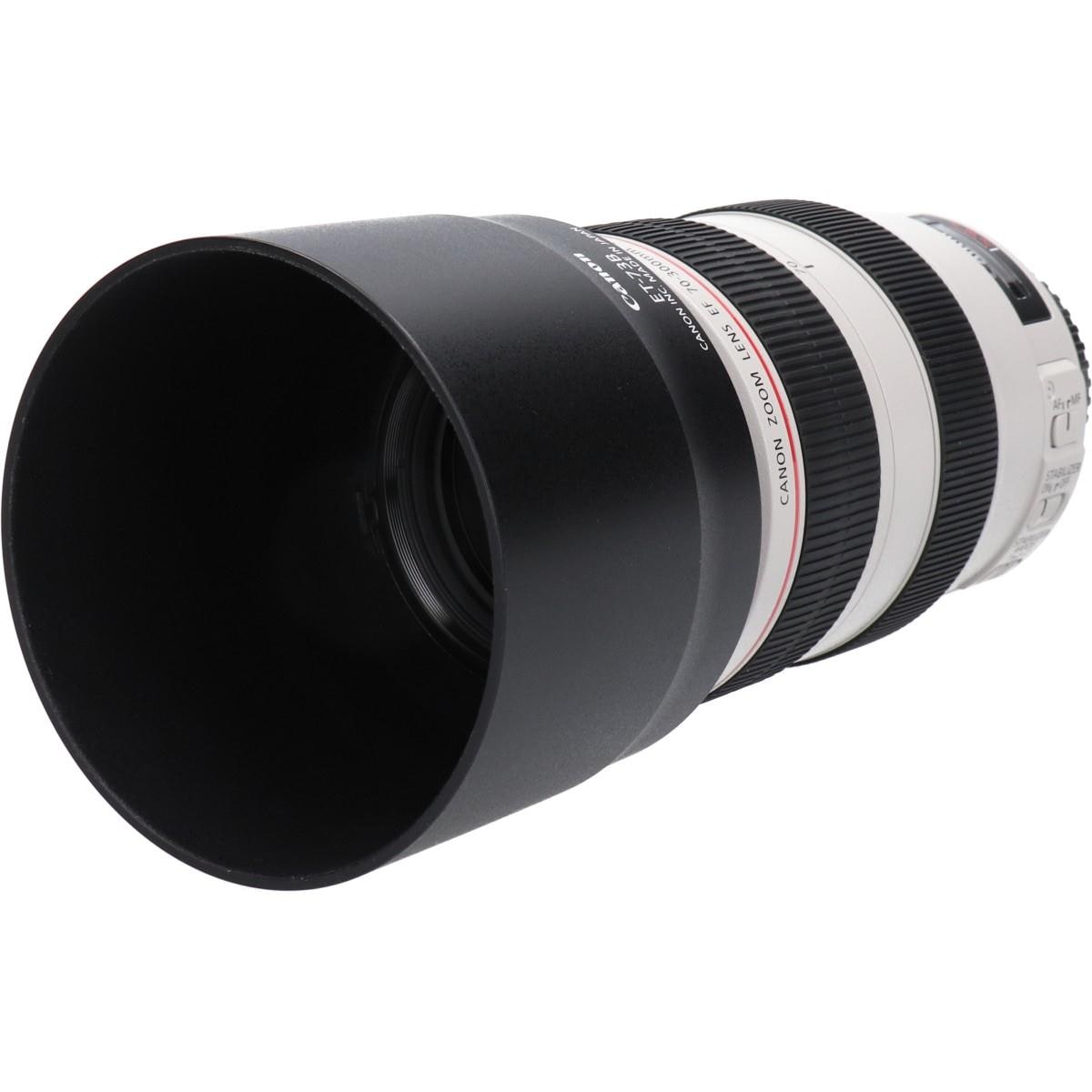 ＥＦ７０－３００ｍｍ　Ｆ４－５．６Ｌ　ＩＳ　ＵＳＭ