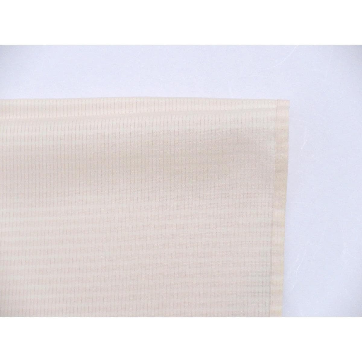 単衣　変わり竪絽訪問着　友禅加工刺繍入り　ボカシ染