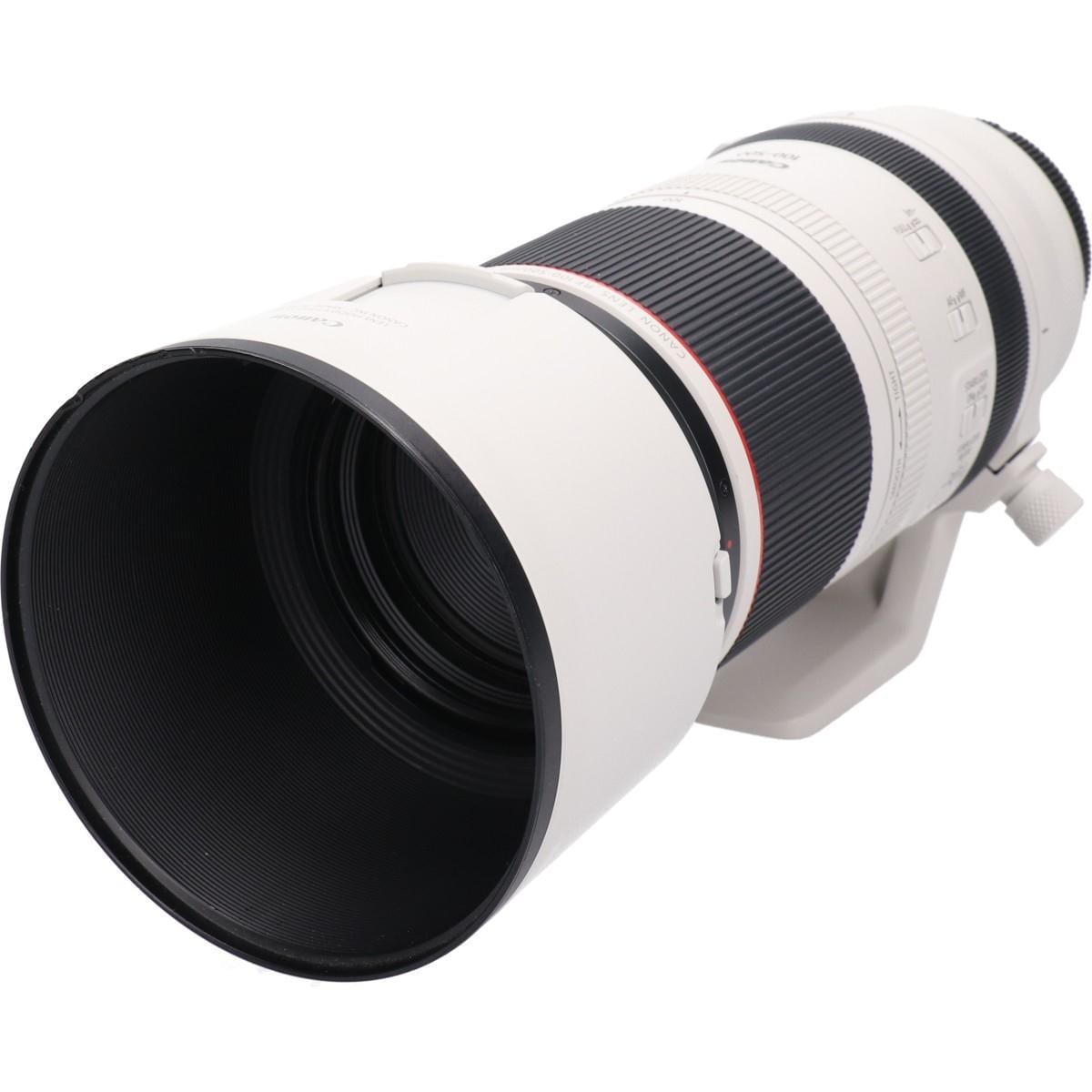 RF100-500mm F4.5-7.1L IS USM