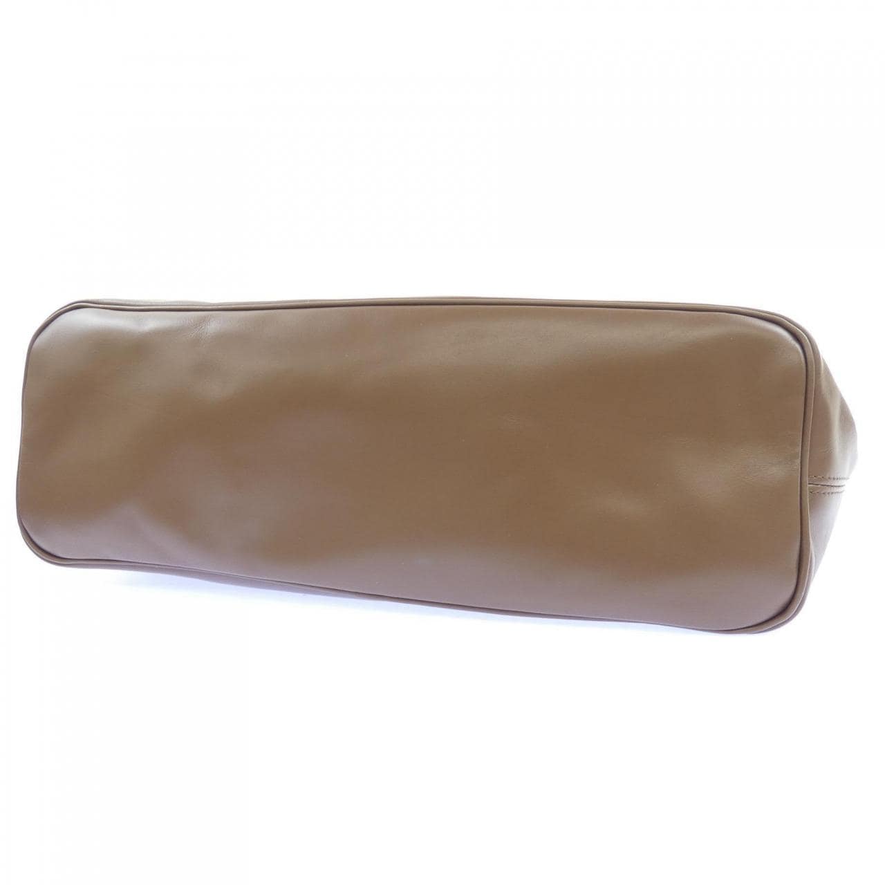 シータパランティカ sita parantica BAG