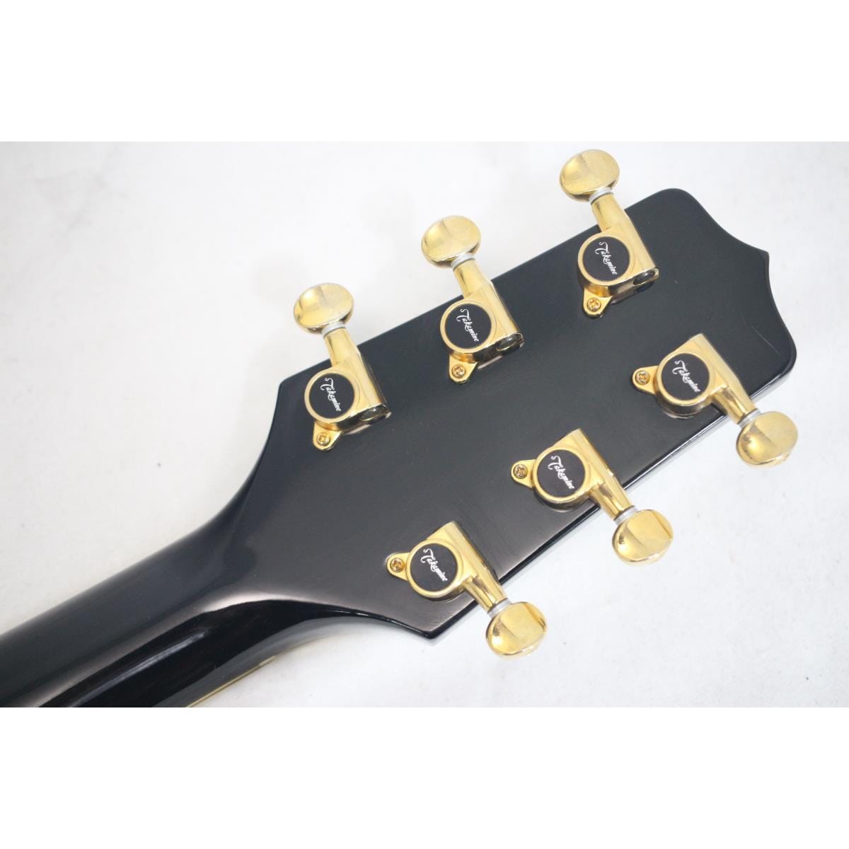 TAKAMINE NPT-110