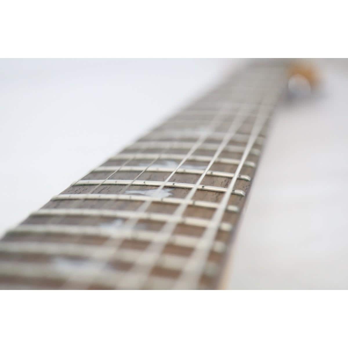 ＰＡＵＬ　ＲＥＥＤ　ＳＭＩＴＨ　　ＳＥ　ＣＵＳＴＯＭ　２４／ＬＨ