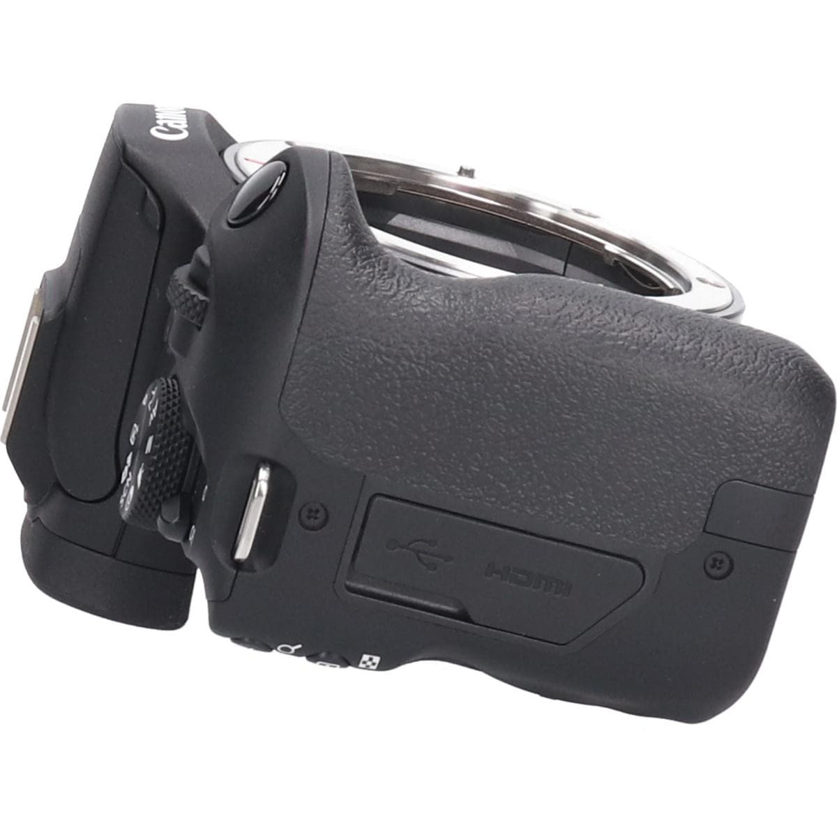 ＥＯＳ　Ｒ１００