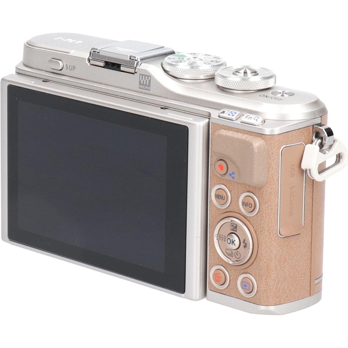 Ｅ－ＰＬ９　ブラウン