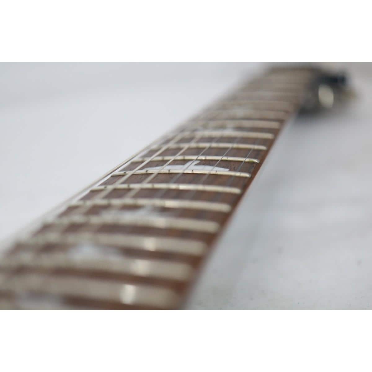 ＰＡＵＬ　ＲＥＥＤ　ＳＭＩＴＨ　　ＳＥ　ＣＵＳＴＯＭ　２４