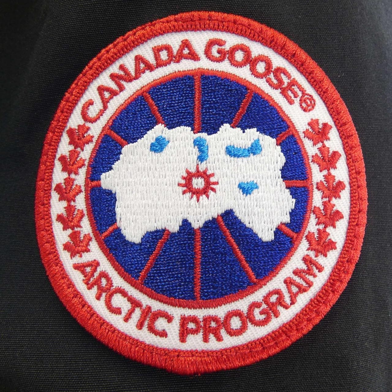 Canada goose CANADA GOOSE down jacket