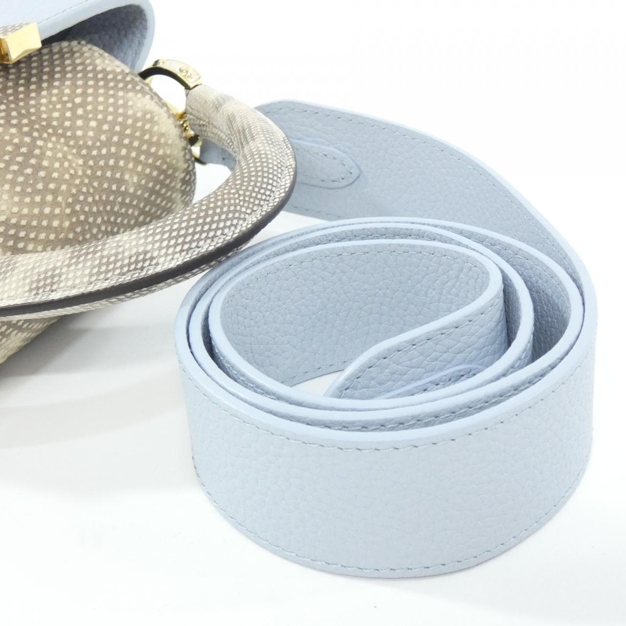 LOUIS VUITTON异域皮革 Capucines 迷你包 M22876