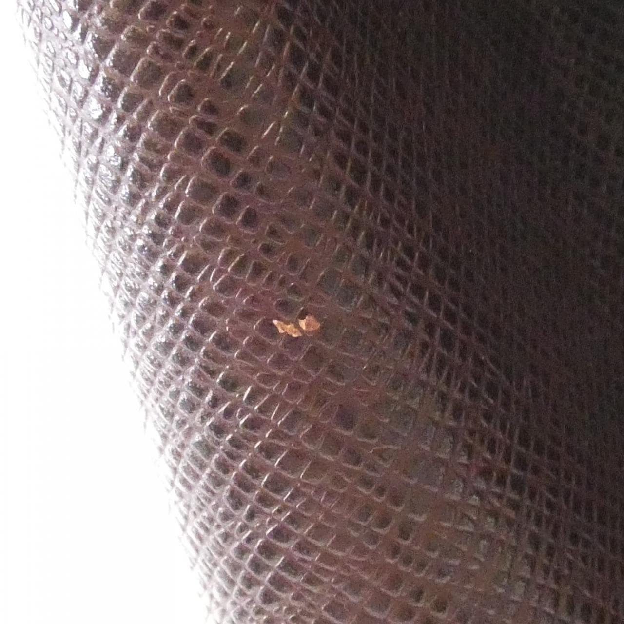 ルイヴィトン タイガ カシアー M30176 リュックサック