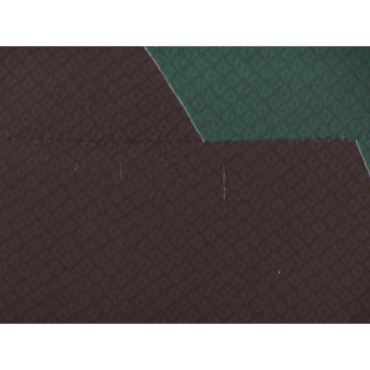 振袖　友禅金彩加工　刺繍入り