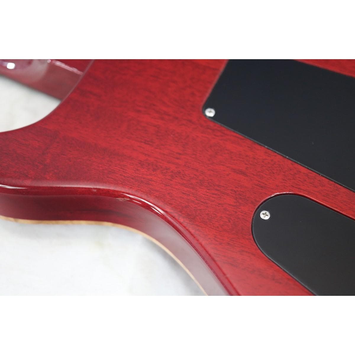 ＰＡＵＬ　ＲＥＥＤ　ＳＭＩＴＨ　　ＣＵＳＴＯＭ　２４　１０ＴＯＰ