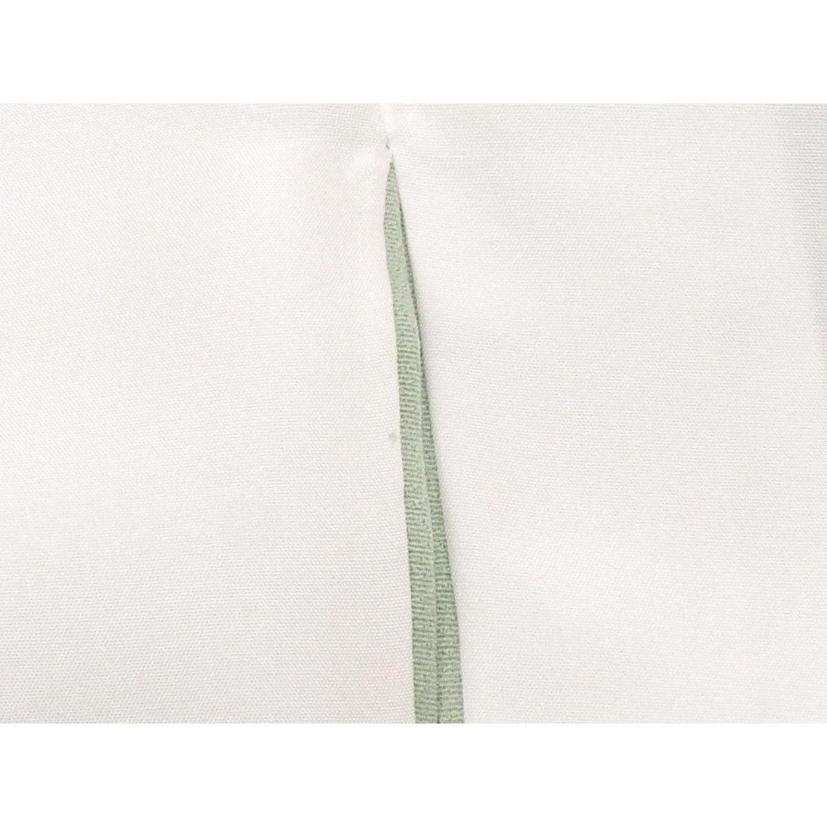 色留袖　寿光織　訪問着兼用　蔓柏
